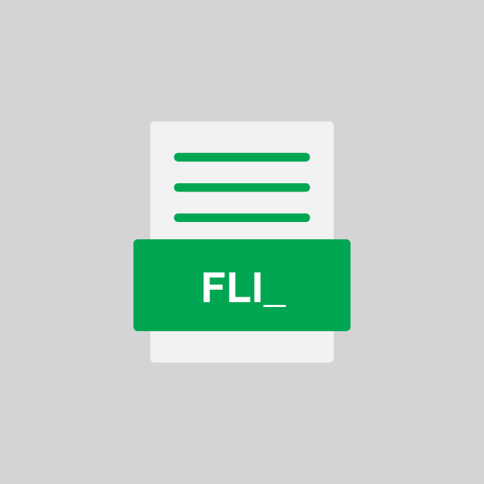 FLI_ Datei