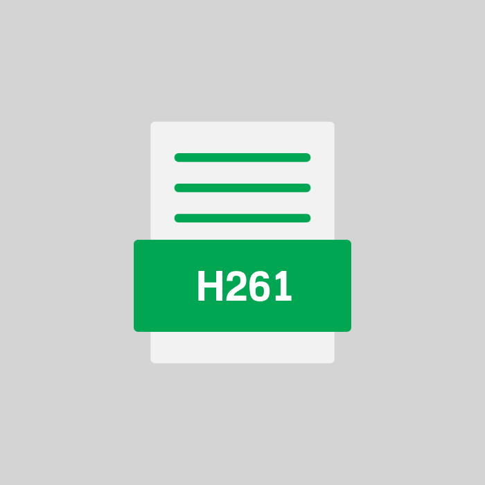 H261 Datei