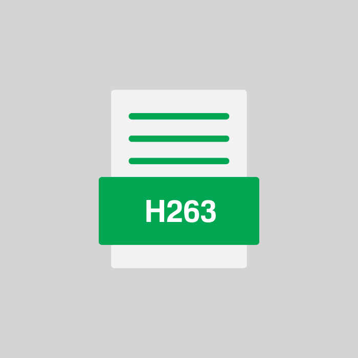 H263 Datei