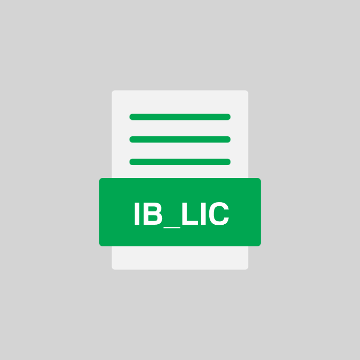 IB_LIC Endung